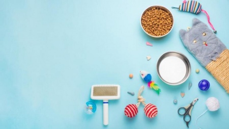 &Agrave; l'&eacute;levage de chats &agrave; Coin-l&egrave;s-Cuvry, quelles races choisir ?