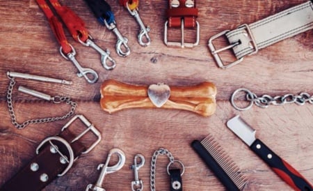 Accessoires pour chiens, lesquels sont vraiment indispensables ?